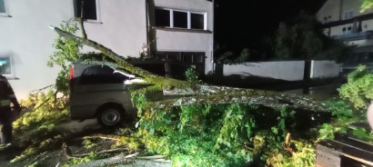 Ein umgest�rzter Baum, der auf einem Fahrzeug liegt